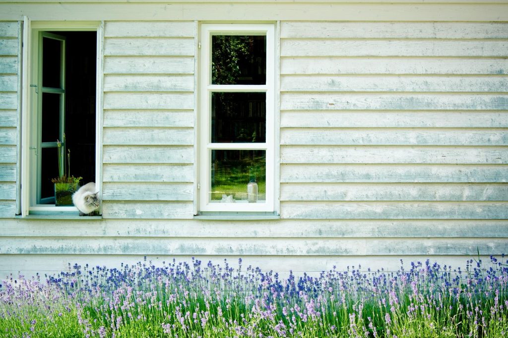 Pose de Châssis en Bois à Andenne